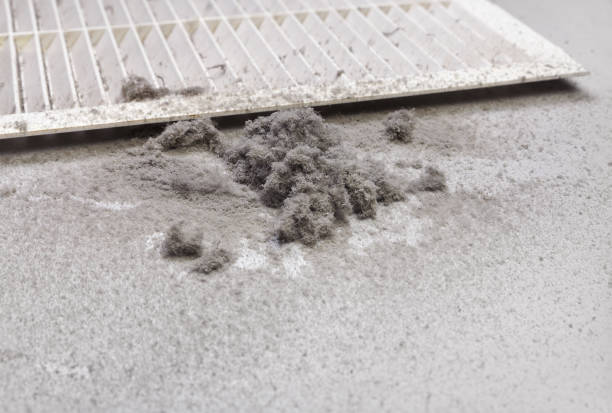 Best Air Duct Cleaning Near Me  in Kearney Park, MS