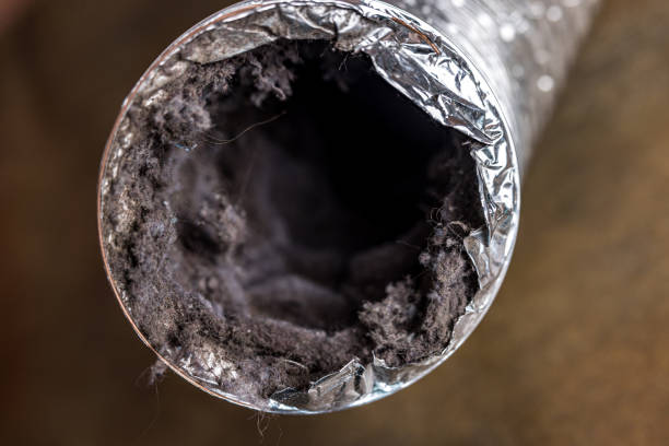 Best HVAC Duct Inspection Services  in Kearney Park, MS