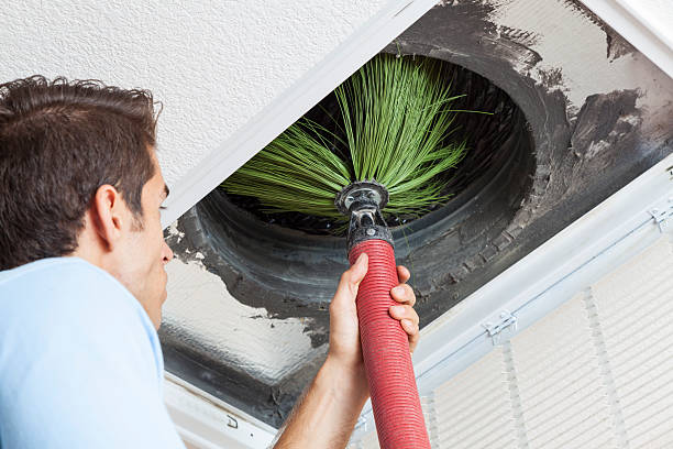 Air Duct Mold Removal in Kearney Park, MS